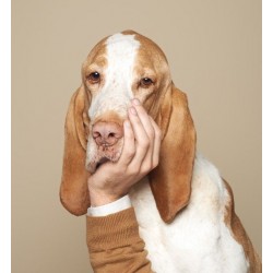  Навіщо собакам потрібне додаткове джерело білка: корисні поради від Zooguru.online