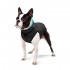 Курточка для собак AiryVest двостороння, розмір L 65, чорно-блакитна