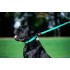 Повідець для собак шкіряний WAUDOG Glamour, Ш 25 мм, Дов 122 см, ментоловий