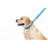 Повідець для собак водостійкий WAUDOG Waterproof, Ш 25 мм, Дов 122 см, блакитний