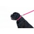 Повідець для собак водостійкий WAUDOG Waterproof, Ш 25 мм, Дов 122 см, рожевий