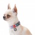 Нашийник для собак нейлоновий WAUDOG Nylon з QR паспортом, світонакоплювальний, пластиковий фастекс, Ш 15 мм, Дов 23-35 см, фіолетовий