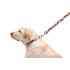 Нашийник для собак нейлоновий WAUDOG Nylon з QR паспортом, малюнок "Вітраж", пластиковий фастекс, Ш 20 мм, Дов 24-40 см