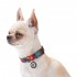 Нашийник для собак нейлоновий WAUDOG Nylon з QR паспортом, малюнок "Вітраж", пластиковий фастекс, Ш 20 мм, Дов 24-40 см