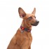 Нашийник для собак нейлоновий WAUDOG Nylon з QR паспортом, малюнок "Графіті", металічна пряжка-фастекс, Ш 25 мм, Дов 31-49 см