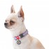 Нашийник для собак нейлоновий WAUDOG Nylon з QR паспортом, світонакоплювальний, металічна пряжка-фастекс, Ш 20 мм, Дов 24-40 см, фіолетовий