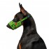 Намордник для собак WAUDOG Nylon, малюнок "Авокадо", пластиковий фастекс, размер №1, О 14-20 см