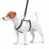 Шлея для собак анатомічна H-подібна WAUDOG Nylon з QR-паспортом, малюнок "Інді", пластиковий фастекс, S, Ш 15 мм, A 30-40, B 30-50